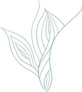illustration de feuillage naturel passionant