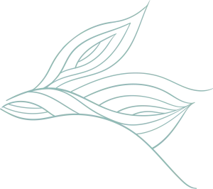 feuillage de plantes