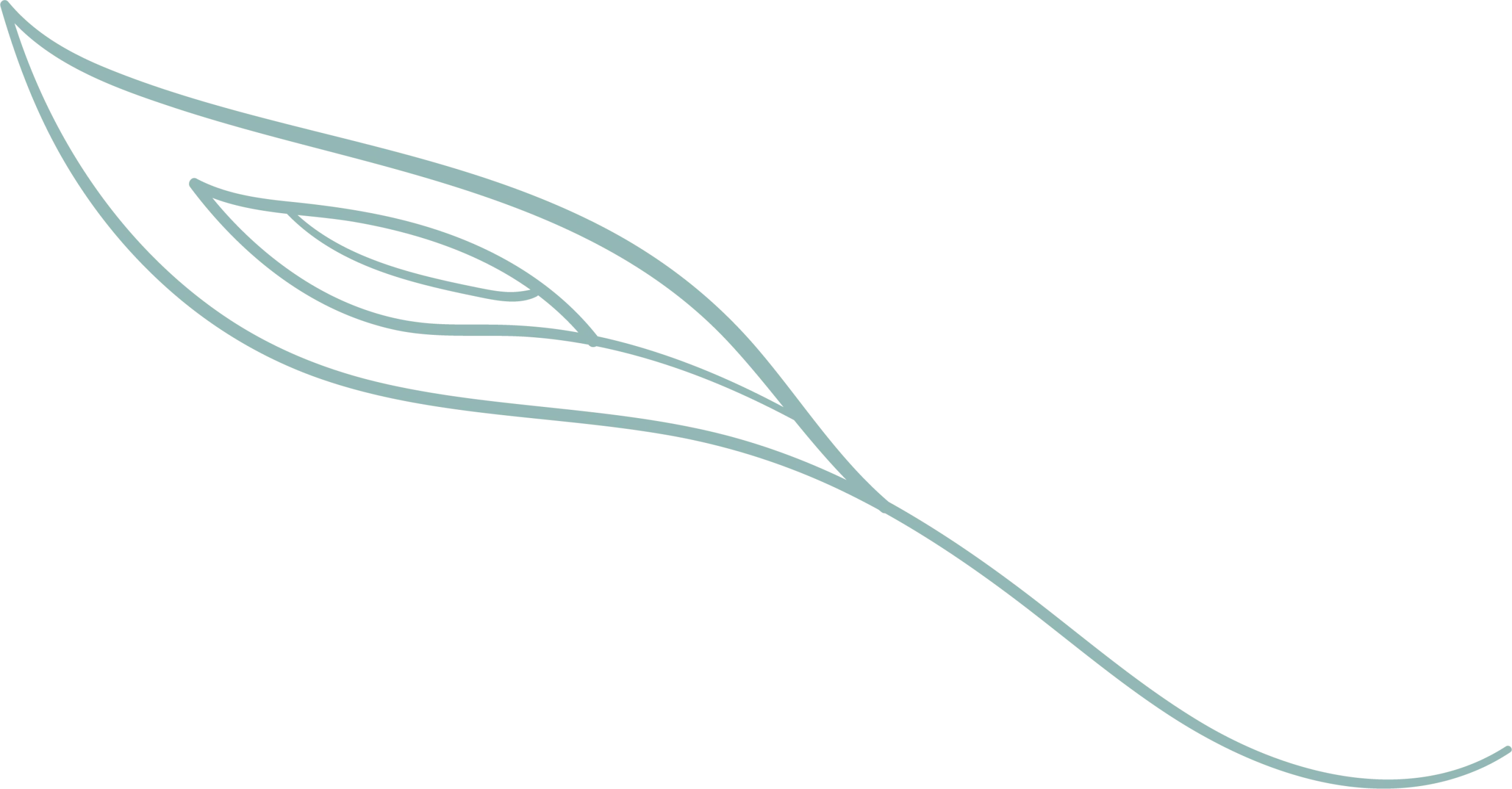 illustration d'une feuille d'arbre