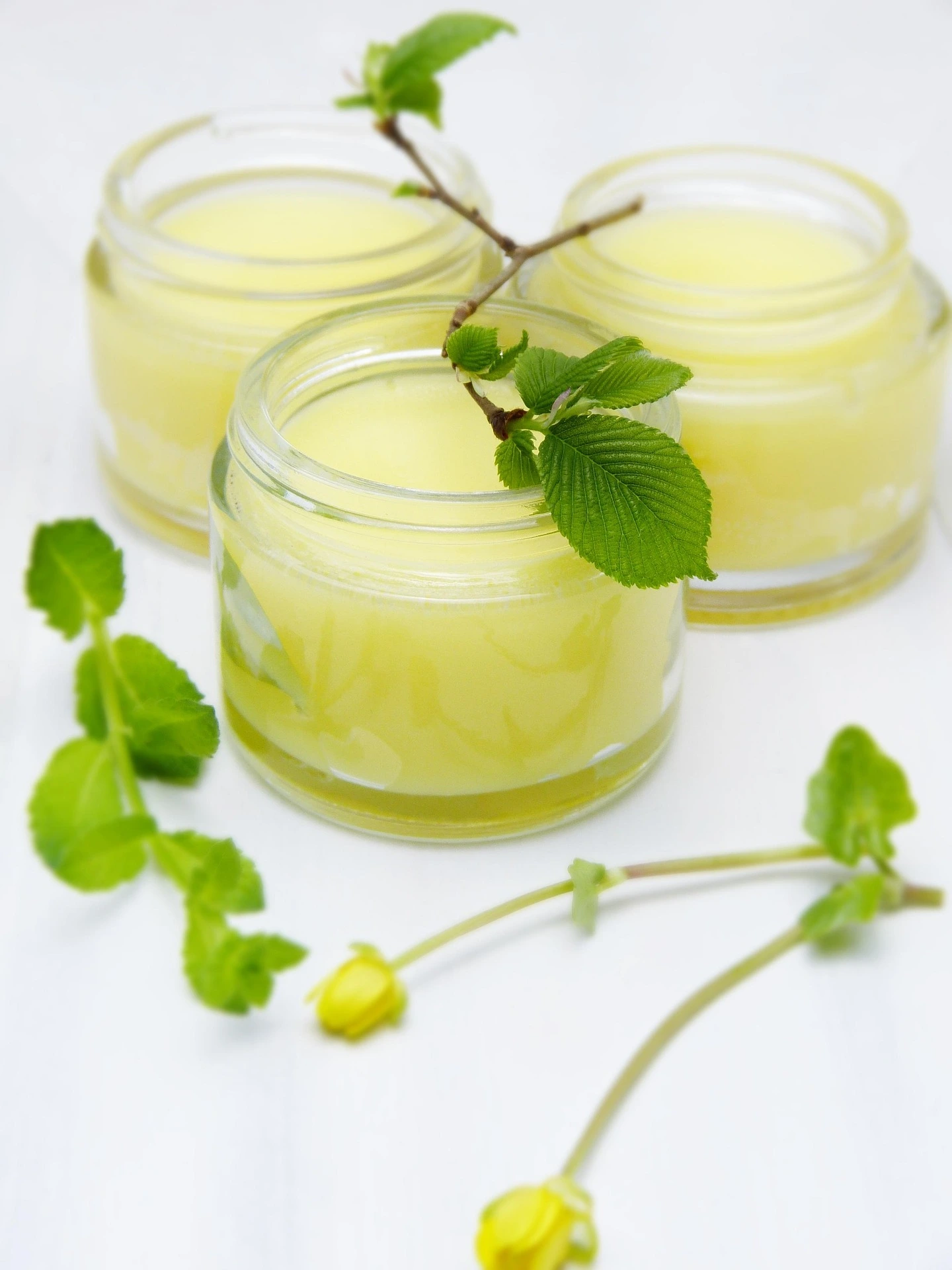 Crème de jour faite maison en pot, atelier cosmétique naturel Pau